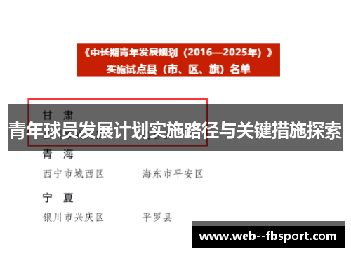 青年球员发展计划实施路径与关键措施探索